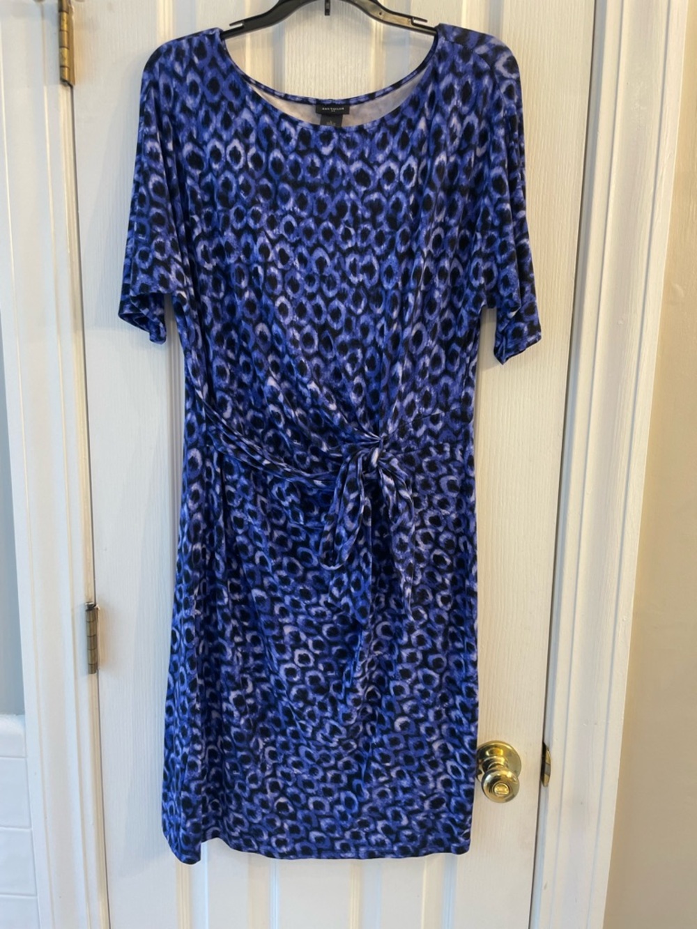 Blue Printed Knee-Length Tie-Waist Dress